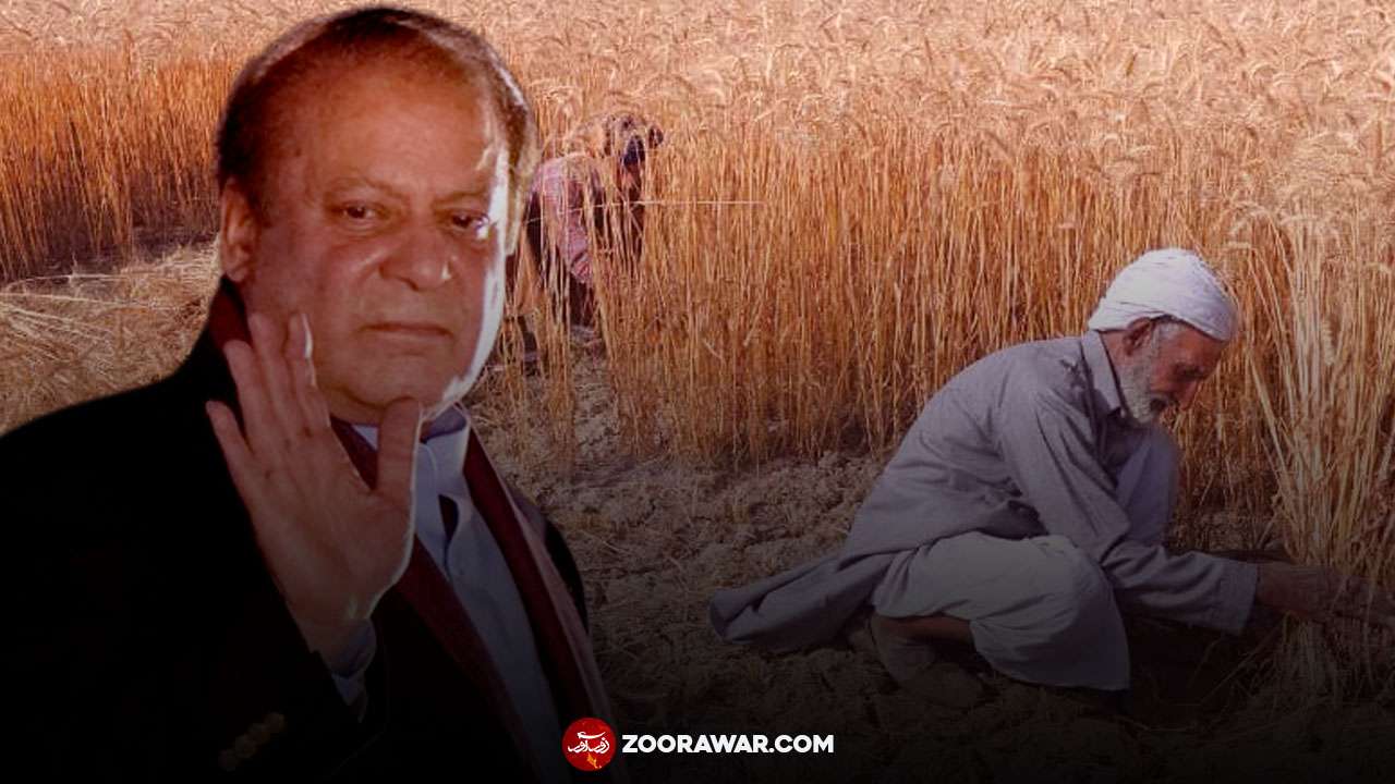 نوازشریف کسان کارڈ