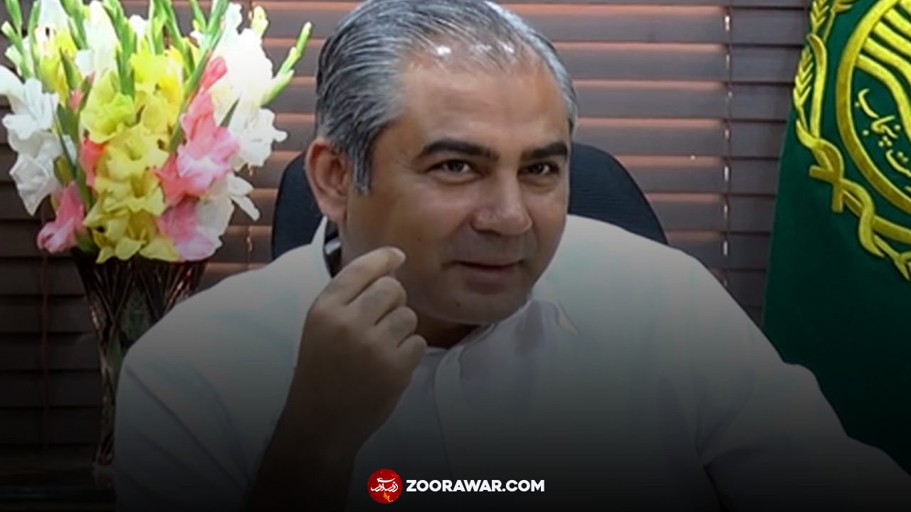 وفاقی وزیر داخلہ محسن نقوی