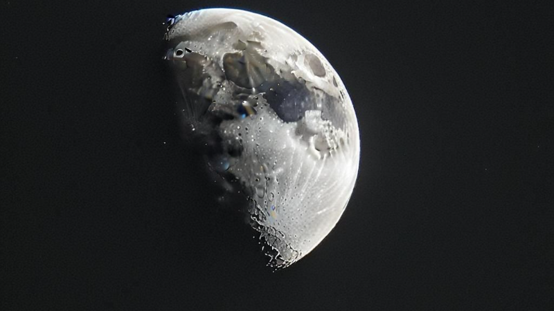 Half Moon Phase
