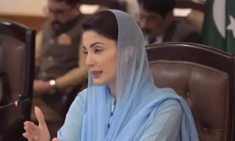 کالعدم تحریک لبیک کے 600 کارکنوں کو مارنے کا الزام ، لاشیں کہاں ہیں؟ ، مریم نواز